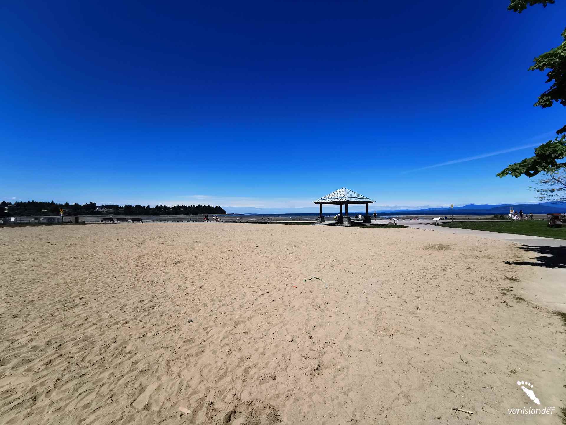Vancouver Island Dolphin Beach Vanislander